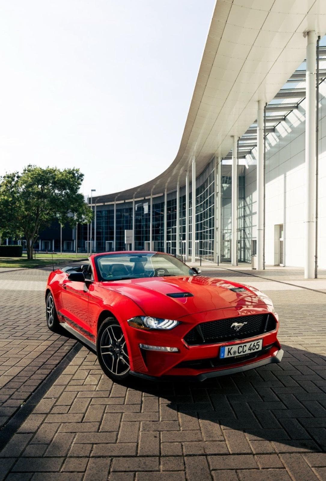 SONDERANGEBOT Mustang GT Cabrio | Sportwagen | Hochzeitsauto