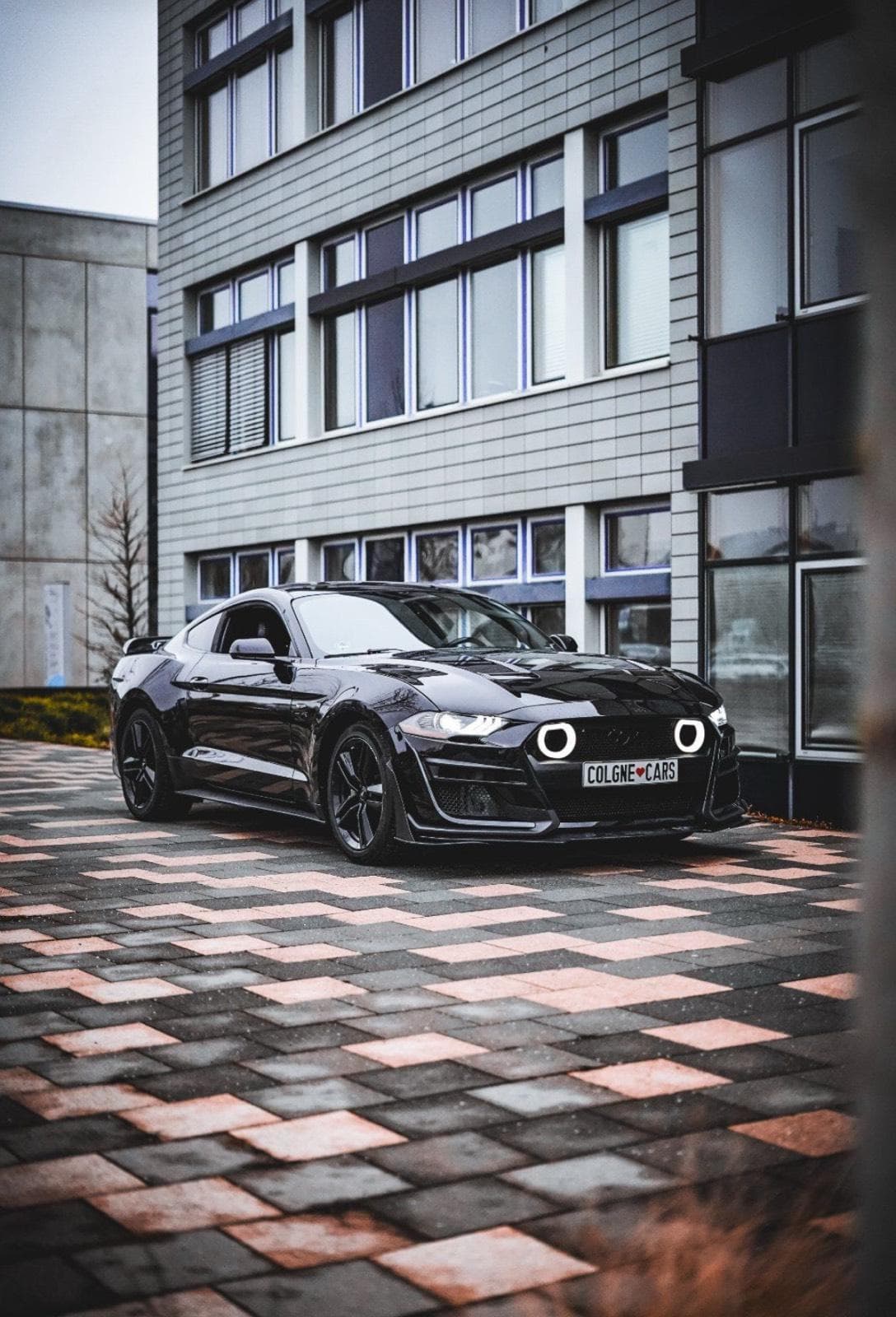 Ford Mustang GT mieten | Hochzeitsauto mieten